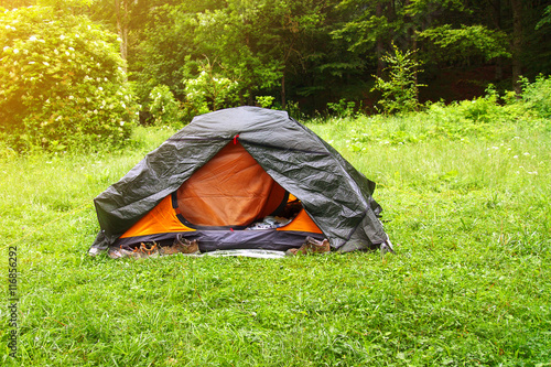 Wallpaper Mural tent on meadow in forest Torontodigital.ca