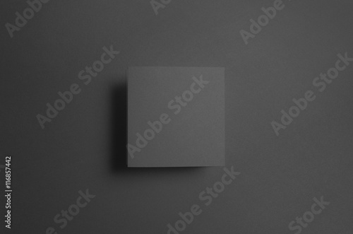 Black Square Z-Fold Brochure Mock-Up photo