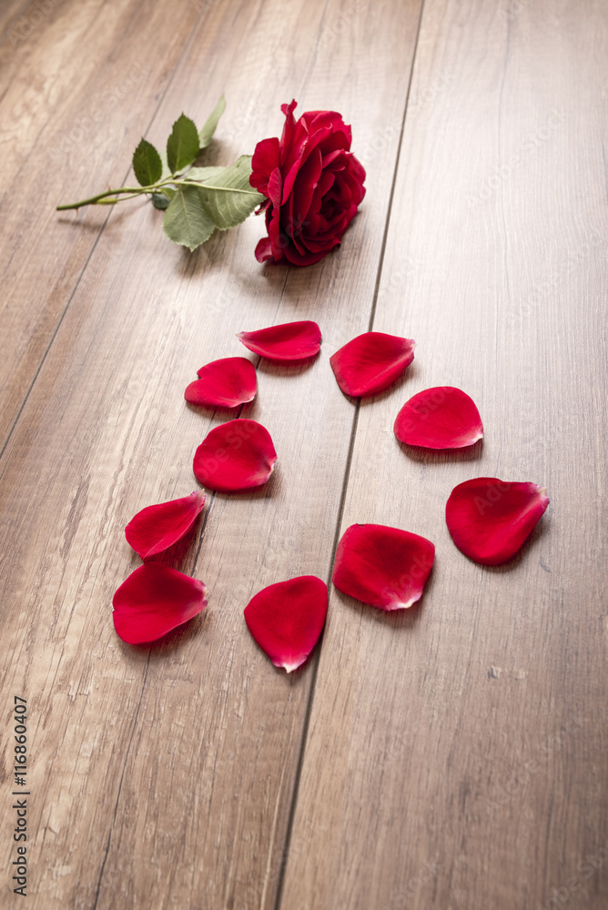 Rose with some separate petals on table Rose with some separate petals on table