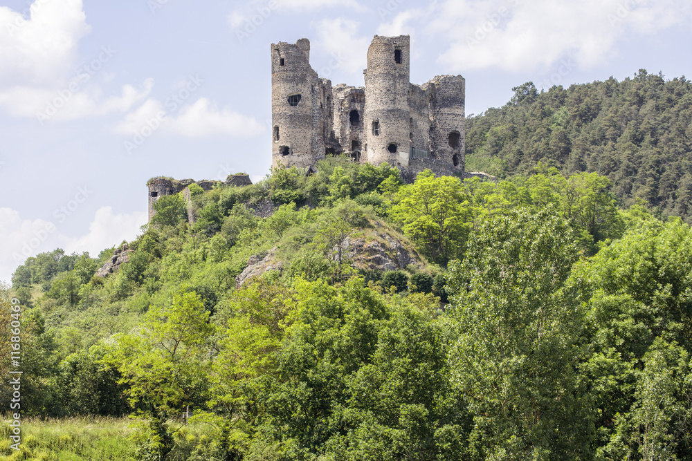 Chateau de Domeyrat