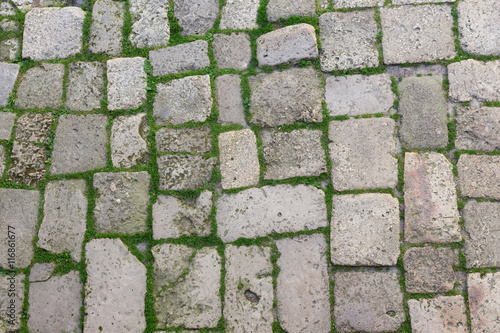 Stone Sett with a Young Grass in the Seams. Seamless Tileable Texture