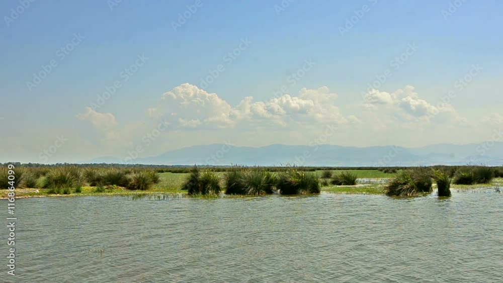 Wetlands in the Kizilirmak delta Black Sea Province of Turkey 