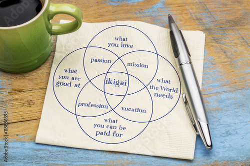 ikigai concept- a reason for being photo