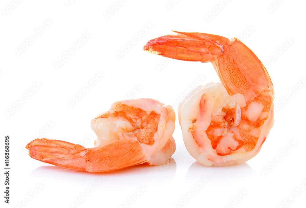 shrimps on white background shrimps on white background