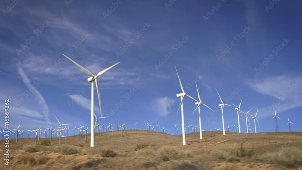 Large wind farm in California. Large wind farm in California.