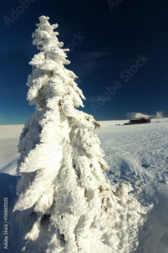 Winter Landscape, Giant Mountains, Czech Republic photo