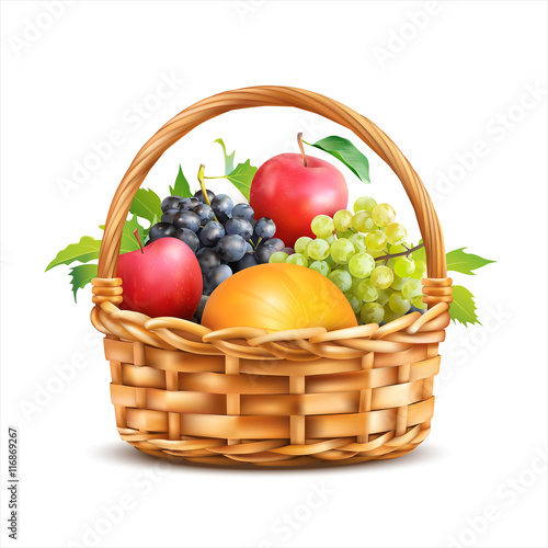 Basket with fruits isolated on white. Vector illustration.