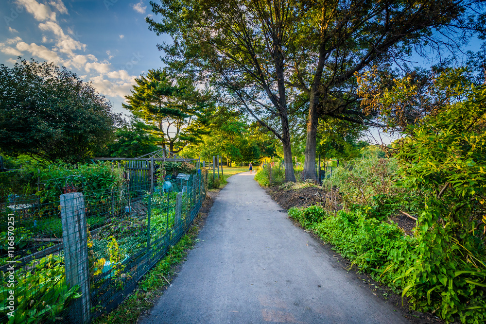 Walkway and gardens at Back Bay Fens, in Boston, Massachusetts.