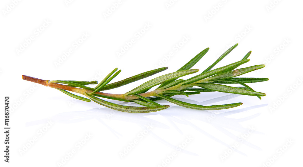Fototapeta premium rosemary isolated on white background