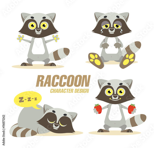 RACCOON CHARACTERS