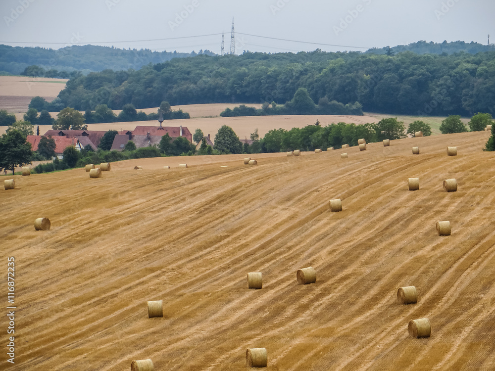 Obraz premium Abgeerntetes Getreidefeld