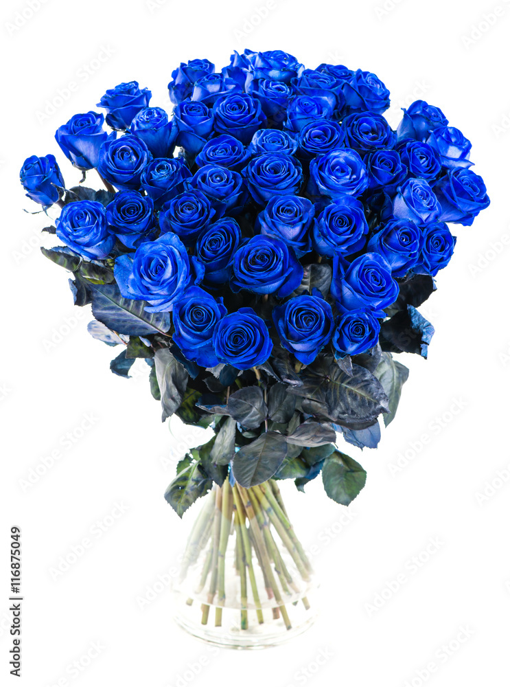 Fototapeta premium bukiet niebieskich róż izolować