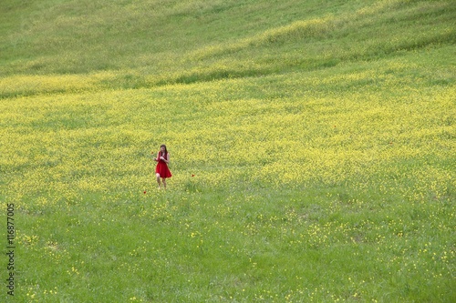 Meadow in Italy