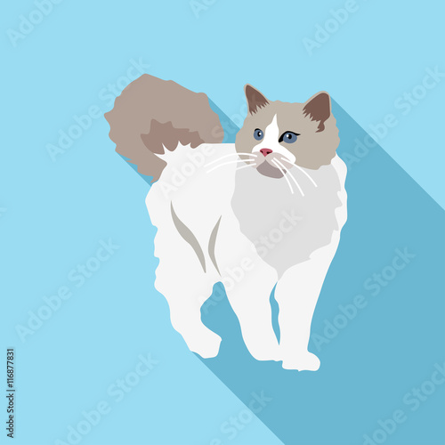 Cats of different breeds with long shadow