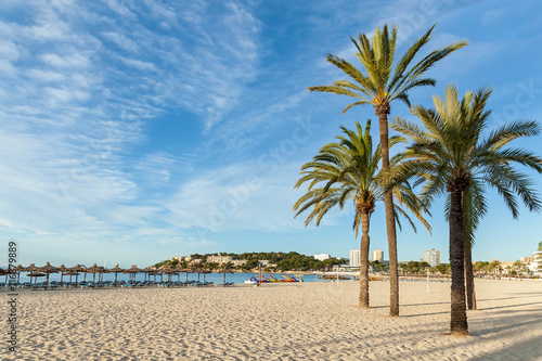 Beach with palm trees