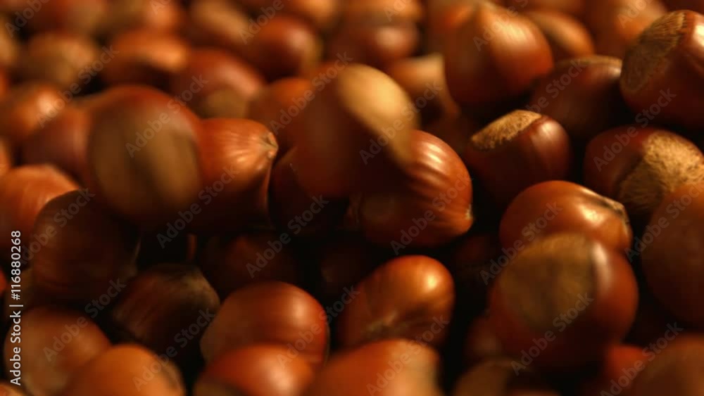 Hazelnuts on a green background. 3 Shots. Horizontal and vertical pan. Close-up. Hazelnuts on a green background. 3 Shots. Horizontal and vertical pan. Close-up.