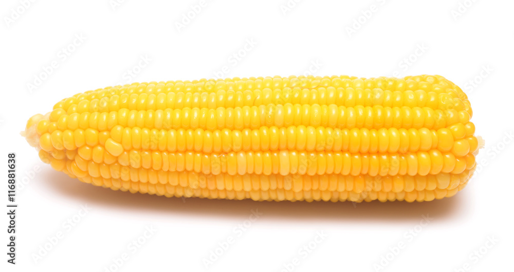 Boiled corn on white Boiled corn on white