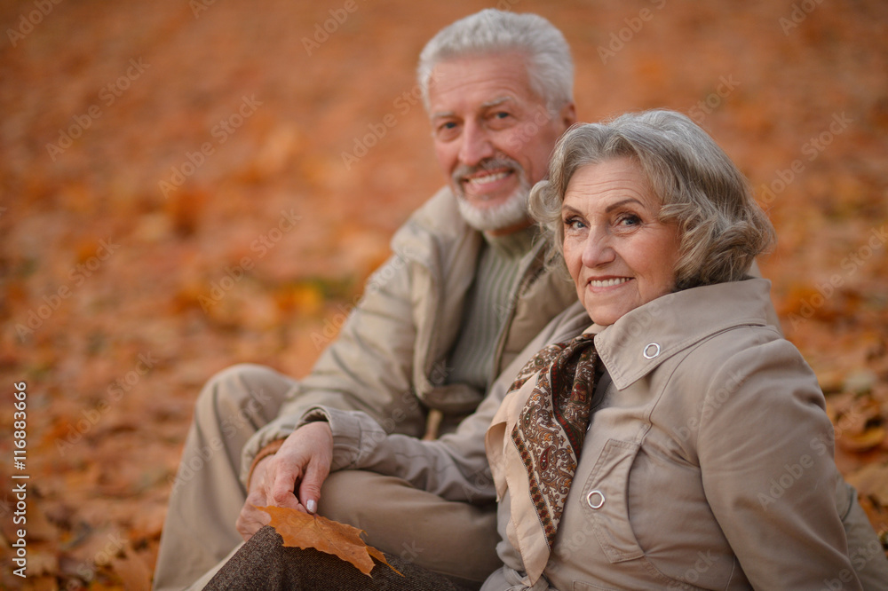 Fototapeta premium Senior couple in autumn park