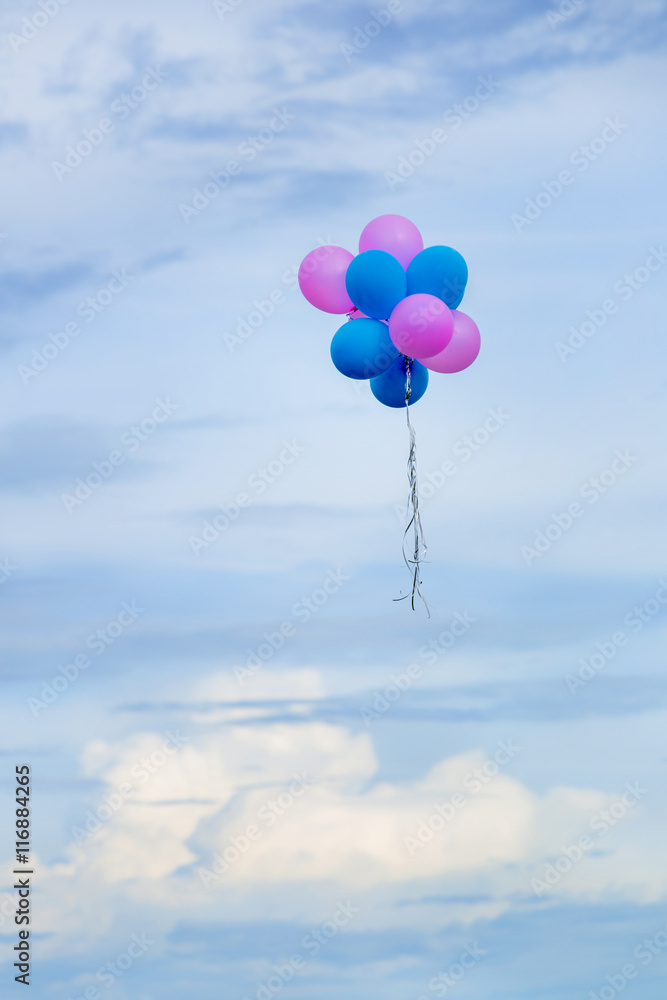 Fototapeta premium balloons on the cloudy day, pink and blue balloons with blurred sky background and copy space, hope and dream on the blue day concept