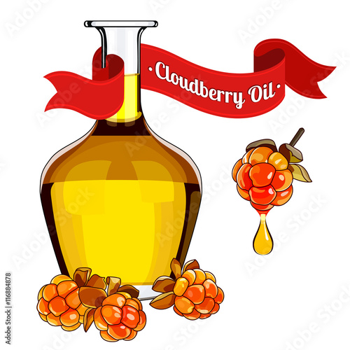 colorful illustration of cloudberry oil 2