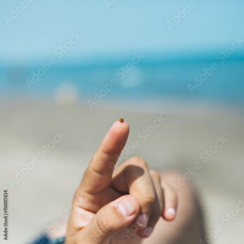 a ladybug lands on finger of a hand at the sea, in a summer day,