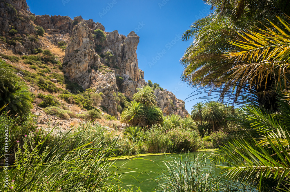 Preveli palm forest in Crete island, Greece. This amazing tropical forest is located in the gorge of Kourtaliotis near the beach of Preveli.