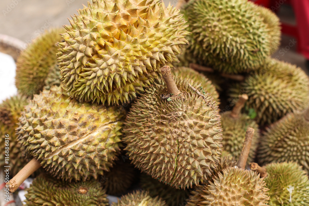 The Durian fruit The Durian fruit