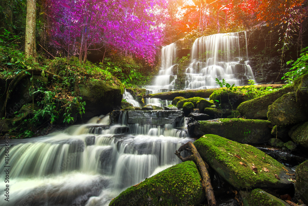 Fototapeta premium piękny wodospad w zielonym lesie w dżungli w wannie phu berk mo