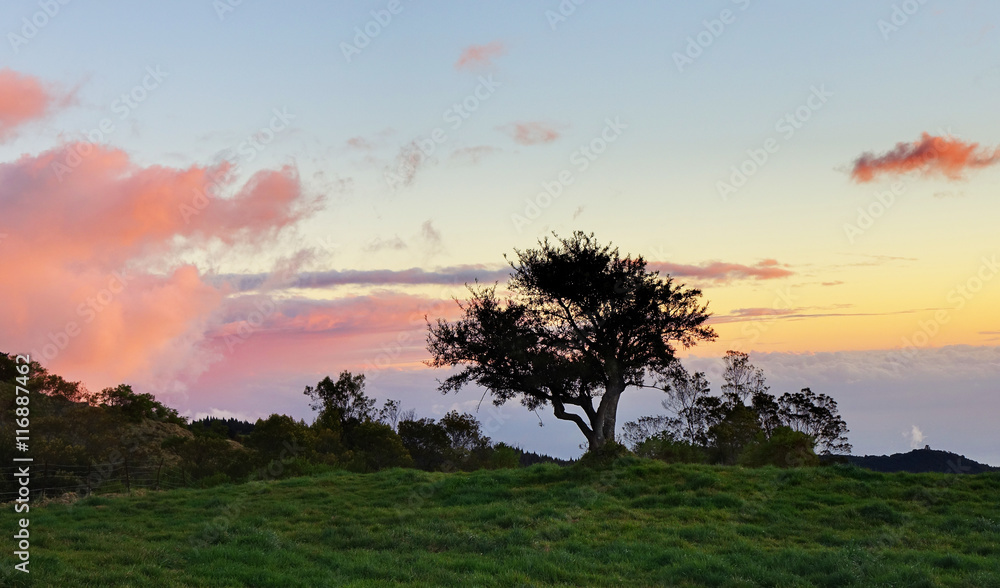Prairie de la Plaine au crépuscule, La Réunion.