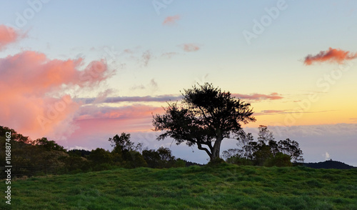 Prairie de la Plaine au crépuscule, La Réunion.