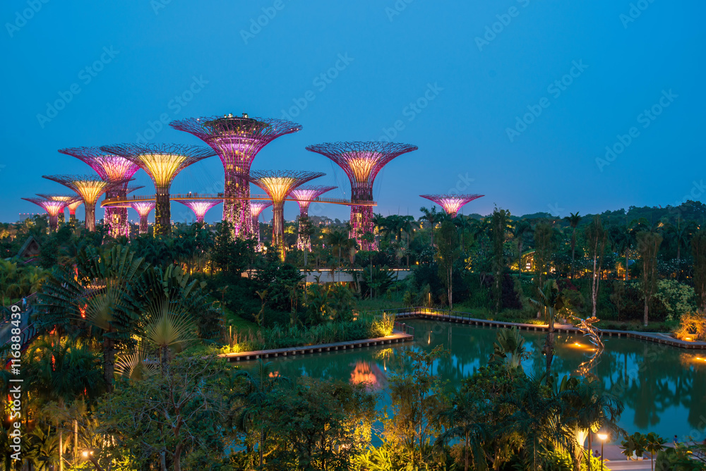 Obraz premium he Supertree at Gardens by the Bay