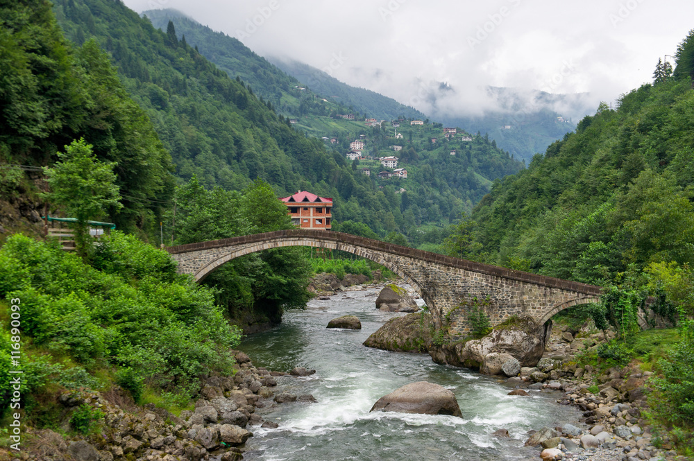 Fototapeta premium karadeniz fırtına vadisi taş köprüsü