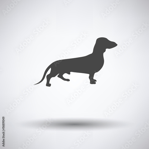 Dachshund dog icon