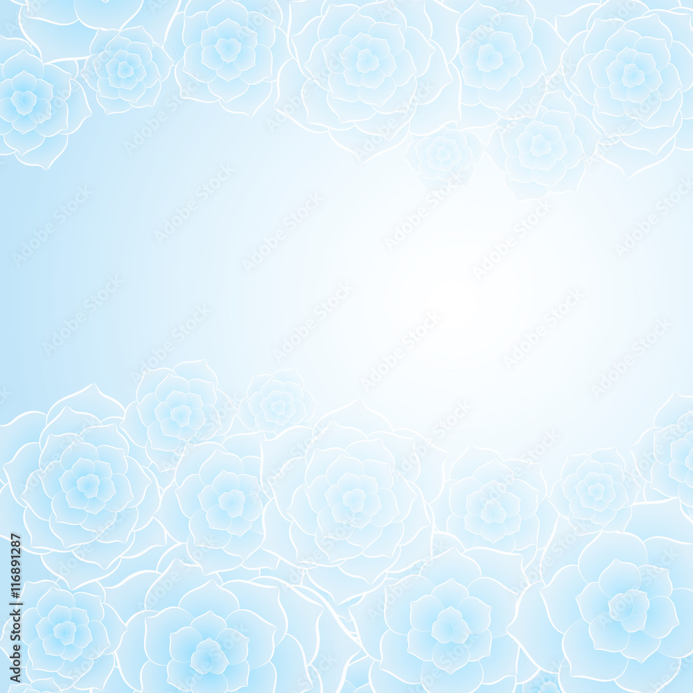 Beautiful pink rose flower background