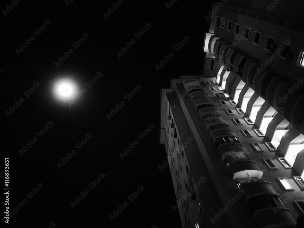 Reaching for the moon at night Reaching for the moon at night