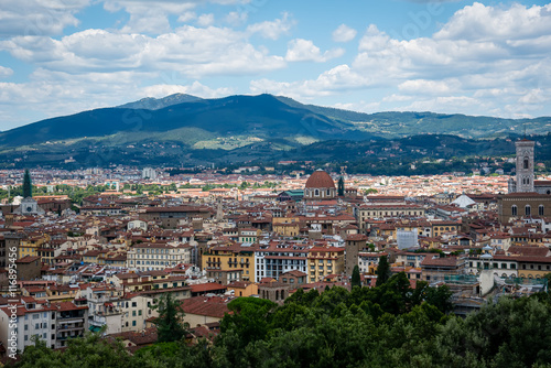 Florence city © LarisaP