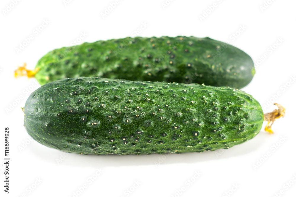 Cucumber isolated Cucumber isolated