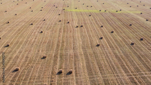 Aerial view over a field filled with round straw bales