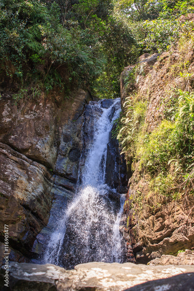 A waterfall in El yunque national forest, Puerto Rico A waterfall in El yunque national forest, Puerto Rico