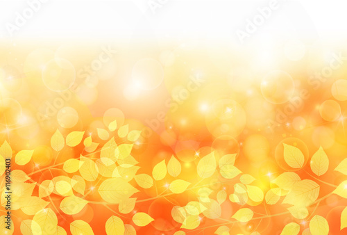 紅葉　秋　風景　背景