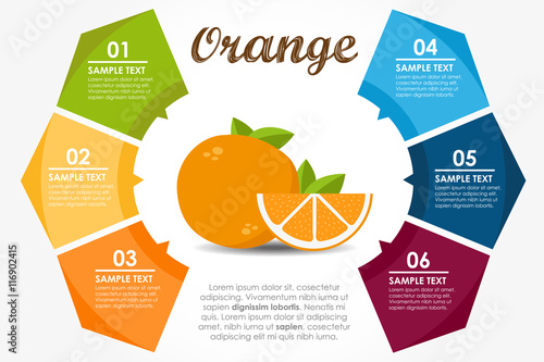Orange round infographic