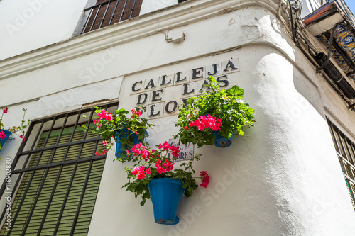 Detail of the Calleja de las Flores in the Barrio de la Juderia, next to the Mezquita Catedral de Cordoba, it is one of the most popular and tourist streets of city of Andalusia in Spain.