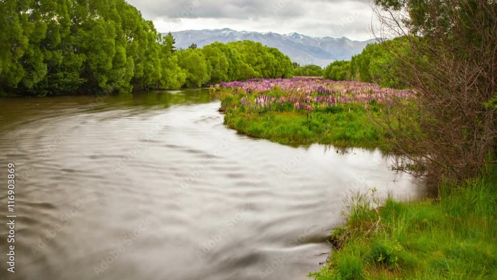 New Zealand River Flowers Landscape Time Lapse. New Zealand River Flowers Landscape Time Lapse.