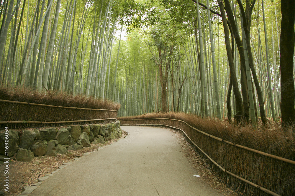 Fototapeta premium Kyoto, Japan