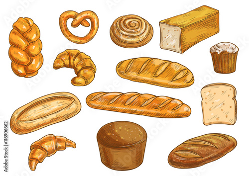 Bread sorts and bakery sketched objects