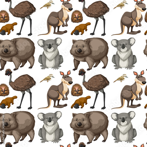 Seamless background with Australian animals
