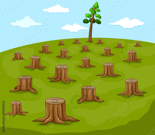 Ecology and Exploiting of cutting down tree in forest
