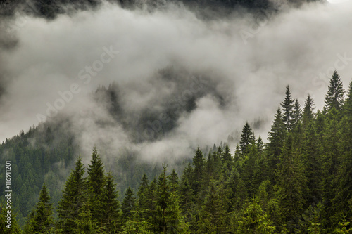 Fototapeta Naklejka Na Ścianę i Meble -  Storm clouds, and adter rain mist in the Romanian mountains, in summer