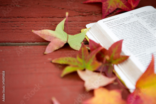 Photography Bible With Fall Leaves