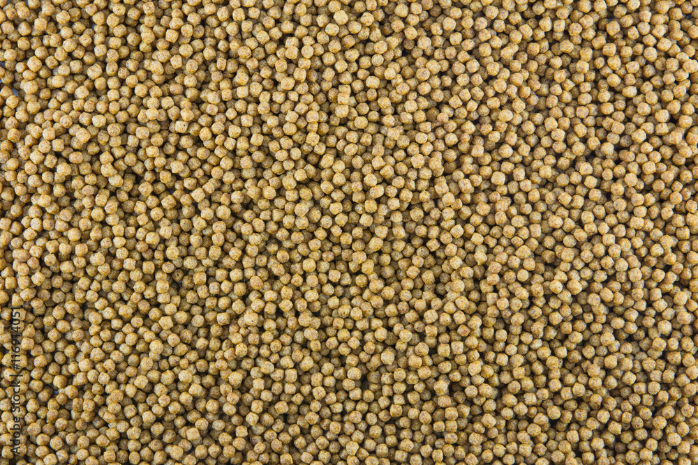 Fototapeta premium Animal feed
